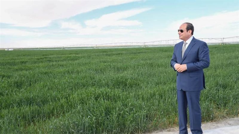 الرئيس السيسي خلال