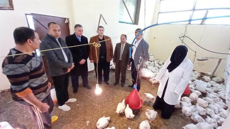 خلال الفعاليات