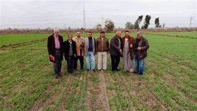 زراعة الشرقية تنفذ ندوة إرشادية عن محصول القمح بالحسينية