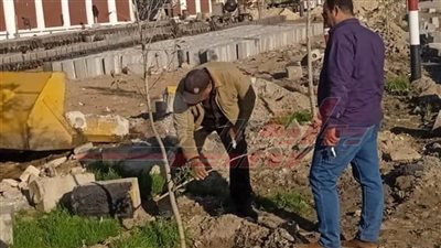 حملات مكبرة لتجميل وتطوير مدينة برج البرلس