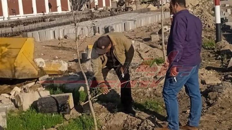 تجميل مدينة برج البرلس