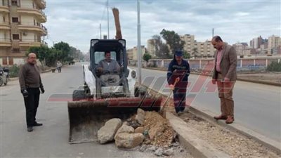 حملات مكبرة لرفع القمامة والمخلفات من شوارع  كفر الشيخ