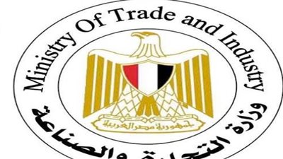 حصاد 2021.. خطط وشراكات قوية نفذها قطاع الصناعة لدعم نمو الاقتصاد المصري