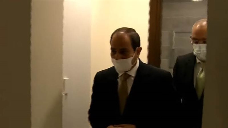 الرئيس السيسي يتفقد