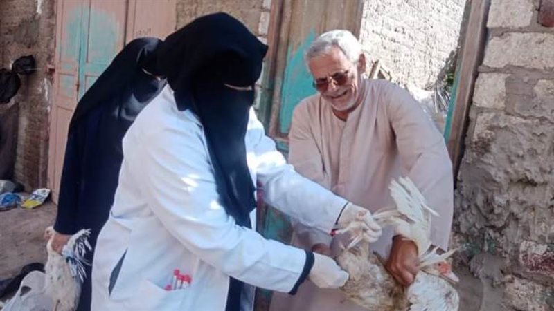 تحصين الطيور