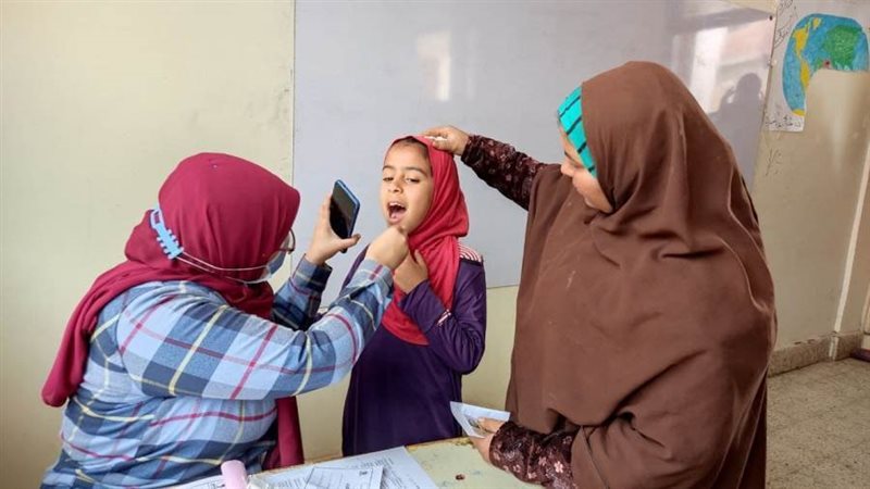 القوافل المتكاملة