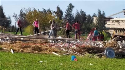 إزالة التعديات على الأراضي الزراعية بمحافظة كفر الشيخ