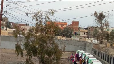 فحص ٢١٤٠ مواطنا في قافلة طبية مجانية بقرية البساتين بالبحيرة