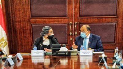 شعراوي وفؤاد يتفقان على طرح المدافن الصحية ومصانع التدوير  للقطاع الخاص 