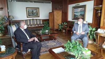 وزير الري ومحافظ الوادي الجديد يبحثان موقف المشروعات المائية بالمحافظة