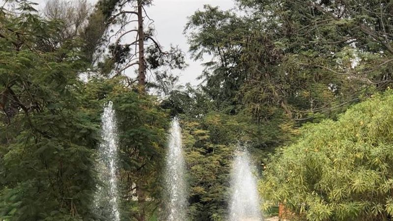 حديقه الياسمين بالقناطر