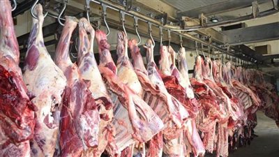 بيطري المنيا يحرر 13 محضرًا لمحلات جزارة مخالفة 