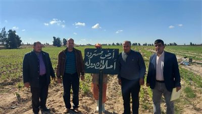 حق الشعب..  استرداد ١٨٠ فدان أملاك دولة فى حملة بوادي النطرون