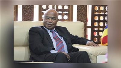 مسؤول بجنوب أفريقيا يشيد بدور منظمة التعاون الإسلامي على الساحة الدولية