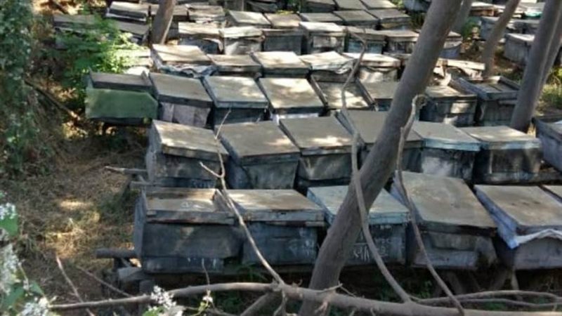 مشروع منحل ضمن المشروعات