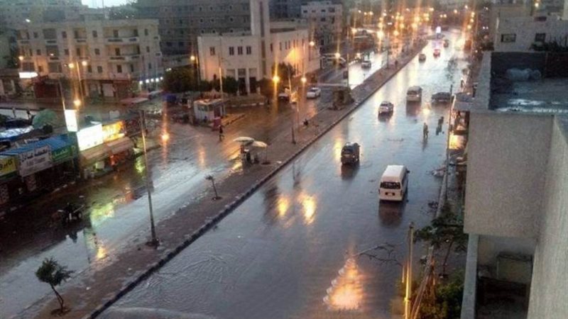 بوابة روز اليوسف