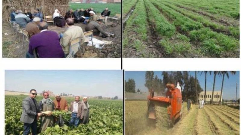 أعمال إدارة الإرشاد