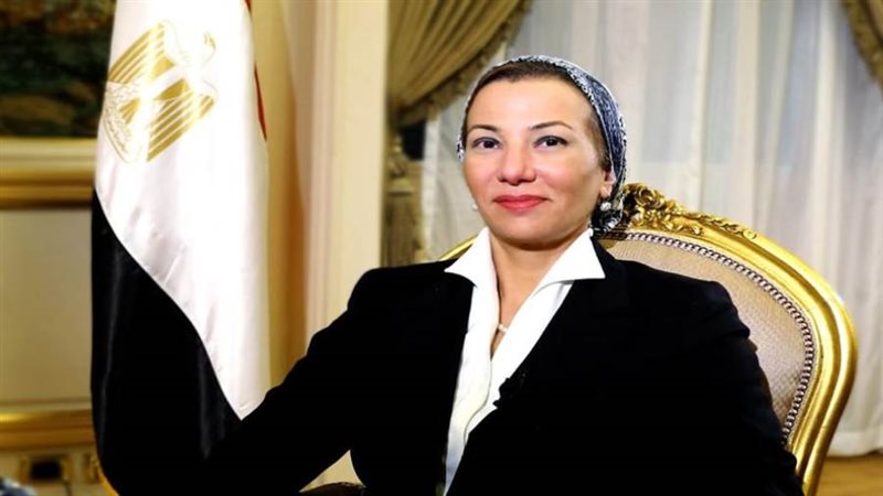 ياسمين فؤاد