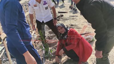 زراعة 400 شجرة بمركز التدريب الكشفي والإرشادي الدائم بجامعة كفر الشيخ