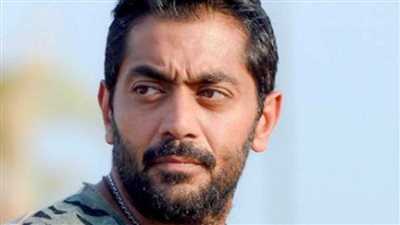 الحكم بالحبس لمدة عامين على الفنان 