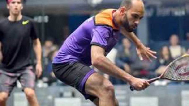 مروان الشوربجي أرشيفية