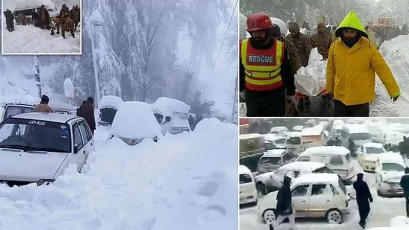الثلوج تحتجز السيارات