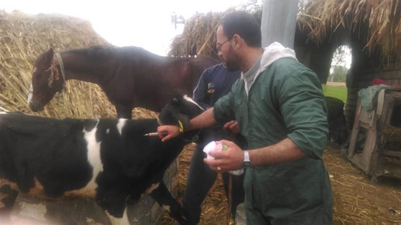 ترقيم وتسجيل ٢٨٩٤