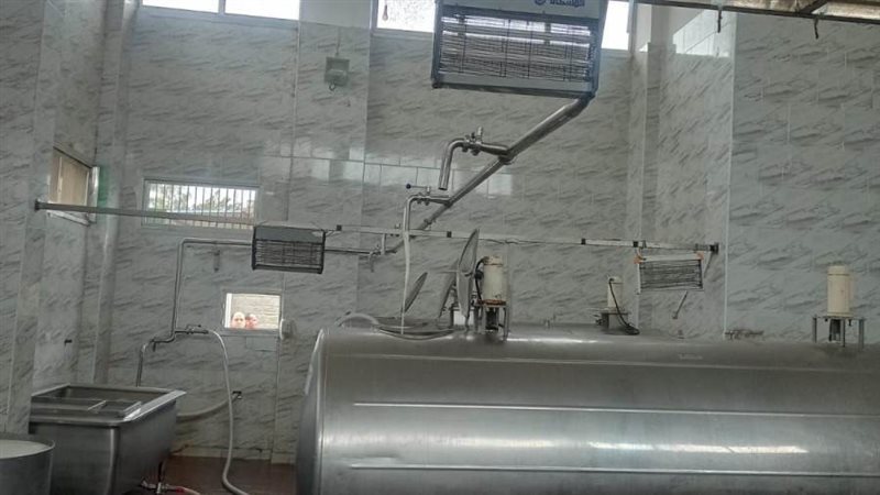 مراكز تجميع الألبان