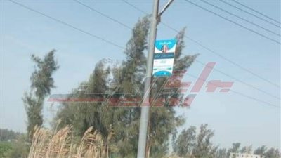 إحلال وتجديد منظومة الإنارة بمدينة الحامول في كفر الشيخ