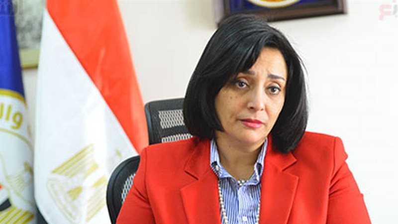 غادة شلبي نائب وزير