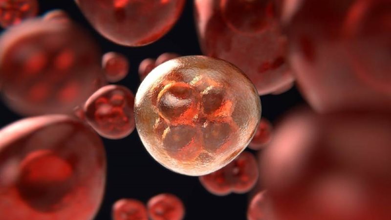 خطر الإصابة بالسرطان