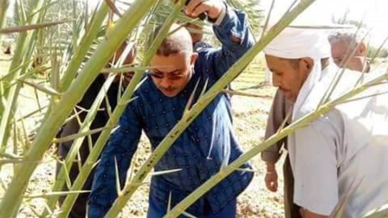 وكيل وزارة الزراعة