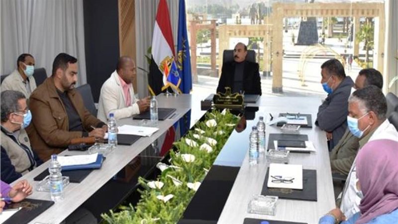 محافظ أسوان