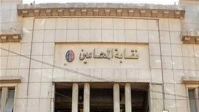 مجلس الدولة يرسل أربعين مليون جنيه أتعاب محامين عن ٨ شهور