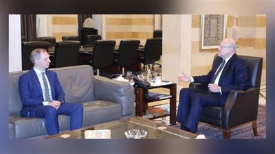 ميقاتي يبحث مع وزير خارجية النمسا سبل دعم لبنان خلال المرحلة المقبلة