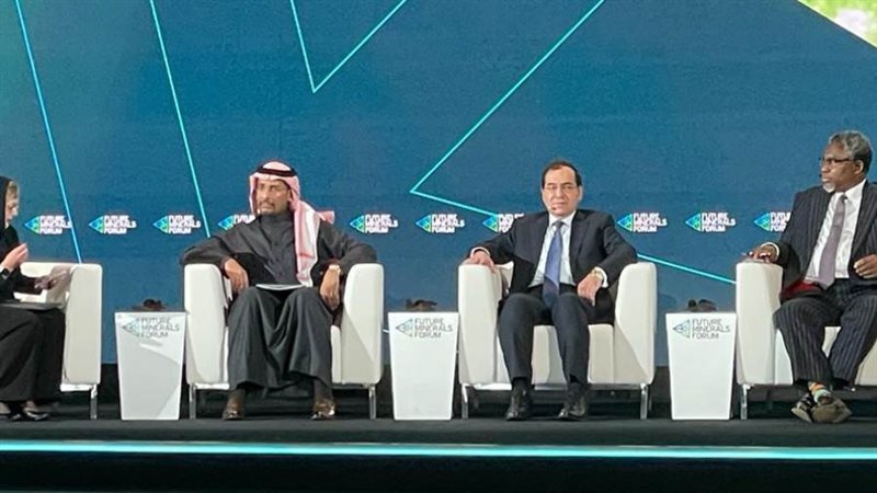 وزير البترول طارق