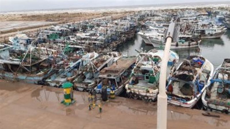 استمرار توقف حركة