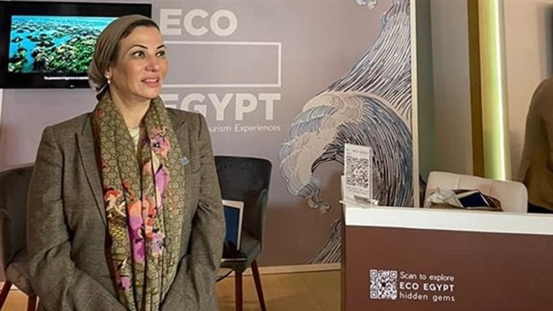 الدكتورة ياسمين فؤاد