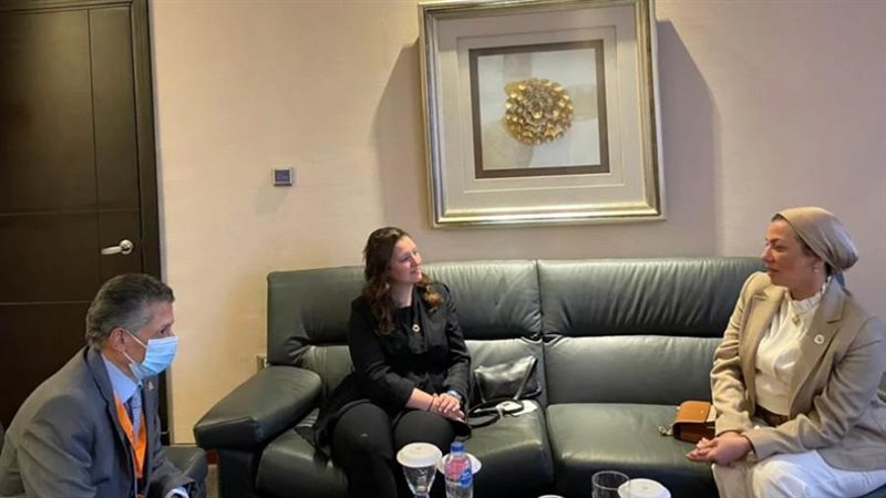 الدكتورة ياسمين فؤاد