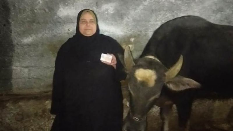 تمويل المشروعات الصغيرة