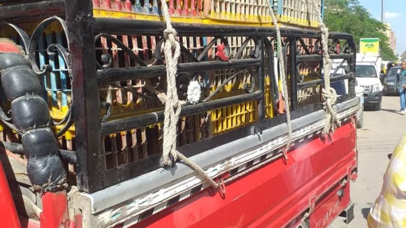 مشروع توزيع الطيور