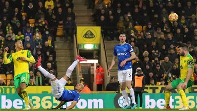 نووريتش سيتي يفاجئ إيفرتون بثنائية في البريميرليج