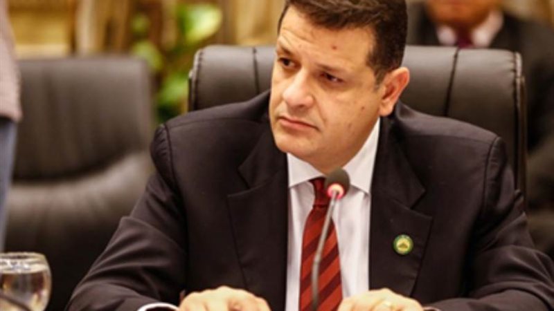 النائب طارق رضوان