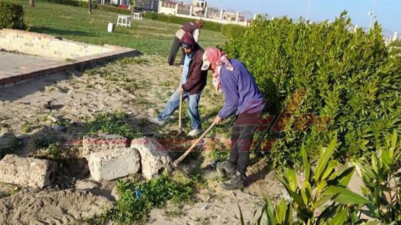 مدينة بلطيم