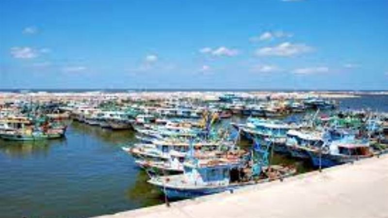 مينلء البرلس