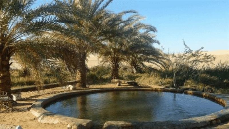 محمية الواحات البحرية