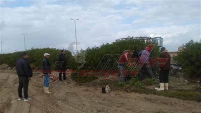 رفع كفاءة منظومة النظافة العامة بمدينة المصيف