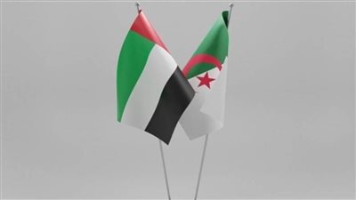 الجزائر تدين هجمات 