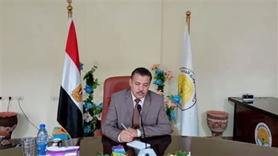 شراكة بين جامعات الوادي الجديد وعين شمس والمنيا للتعليم المدمج