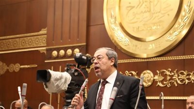 النائب إيهاب أبوكليلة: قرارات الرئيس السيسي هدية للمواطن البسيط لرفع العبء عن كاهله 